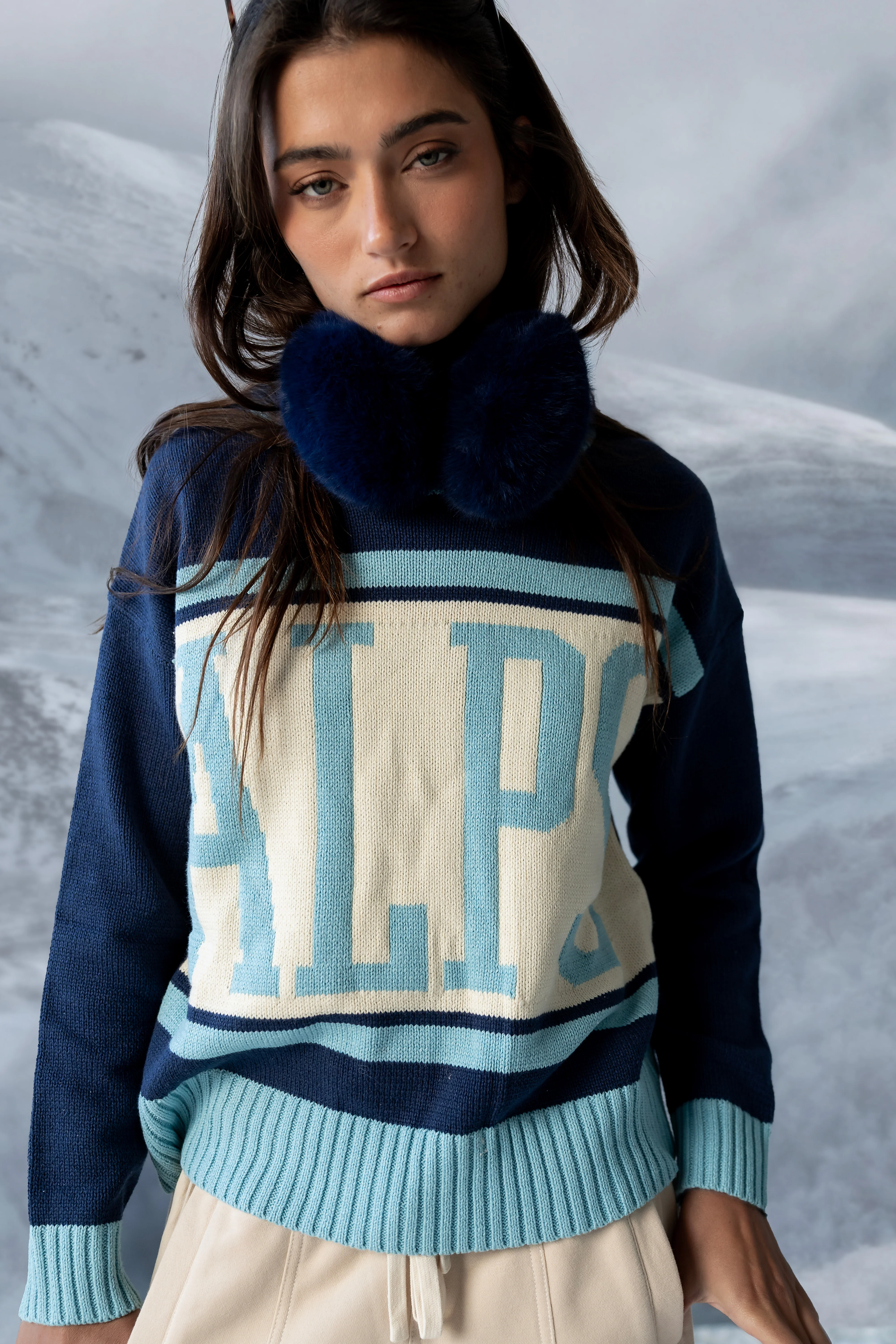 Alps Knit Sweater - FINAL SALE - Image 4