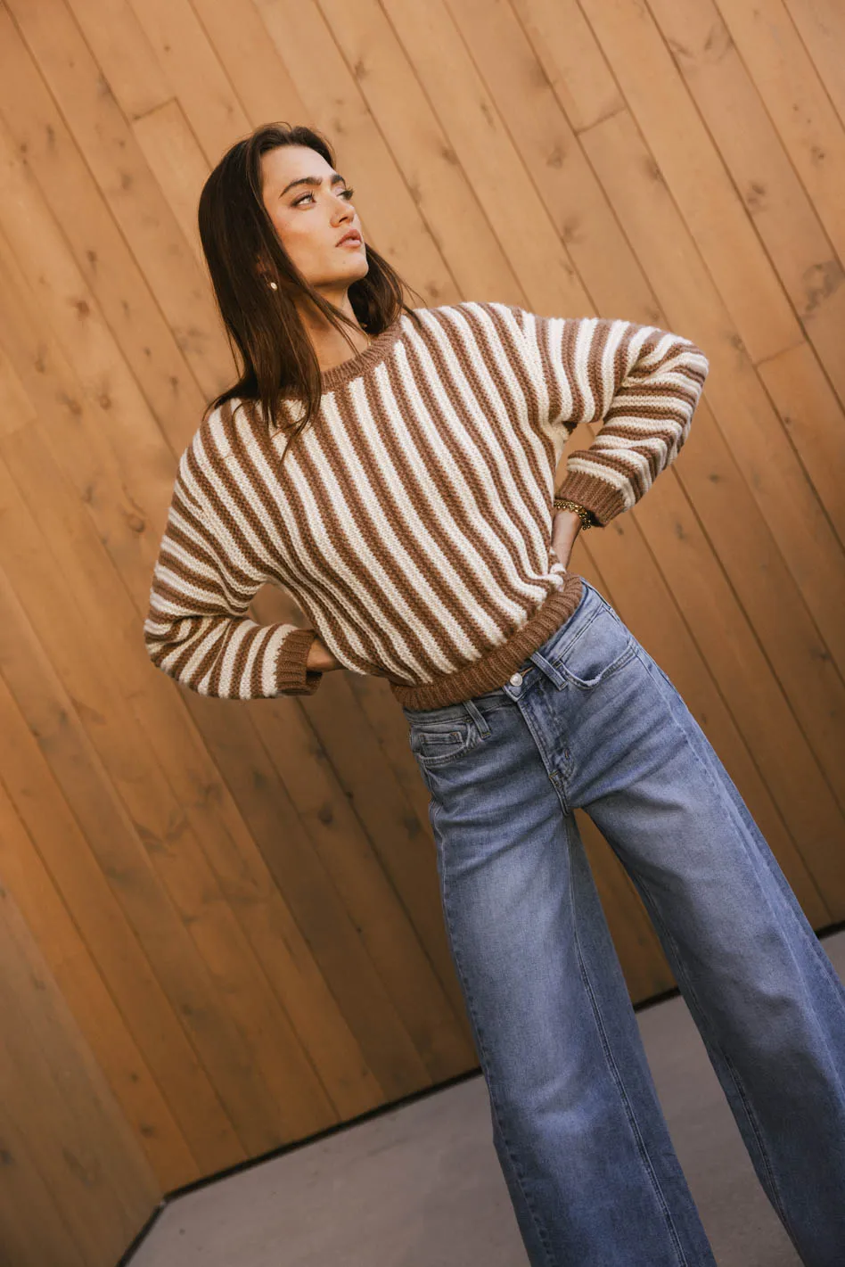 Baila Striped Sweater in Mocha - FINAL SALE - Image 4