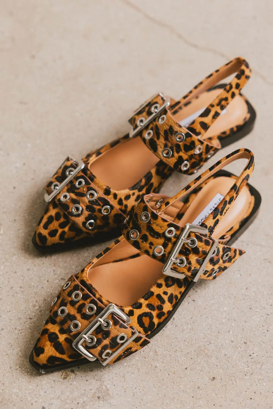 Steve Madden Graya Flats in Leopard - Image 2