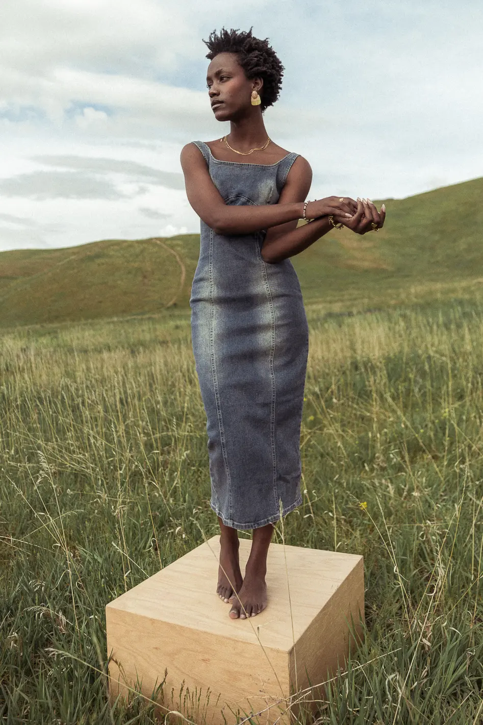 Valentini Denim Midi Dress - FINAL SALE - Image 4