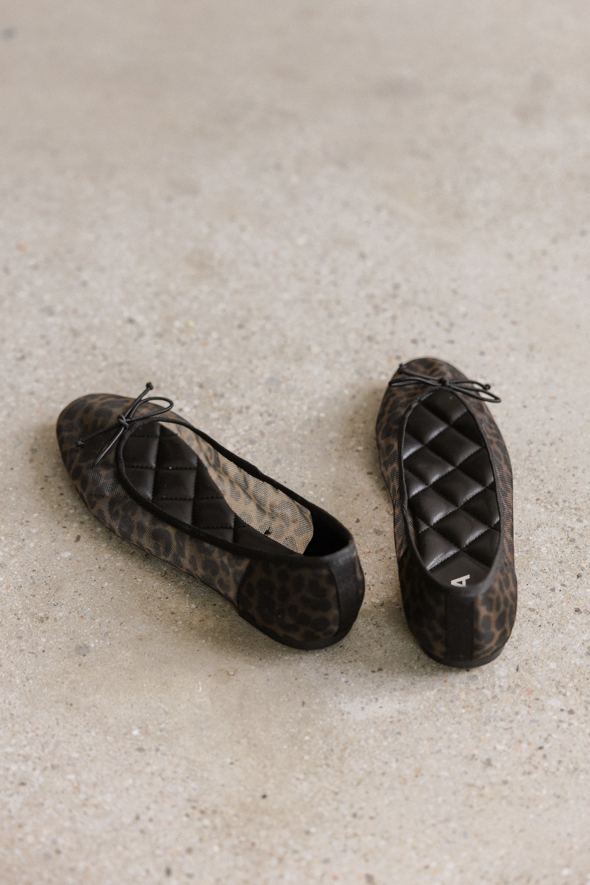Valtina Leopard Ballet Flats - FINAL SALE - Image 4